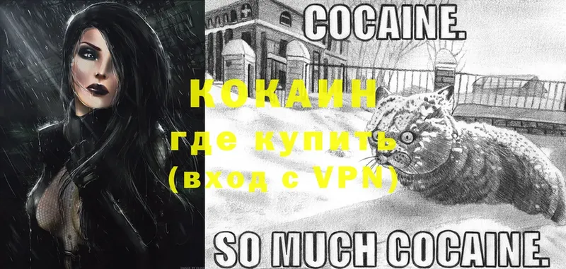 продажа наркотиков  Собинка  COCAIN Fish Scale 